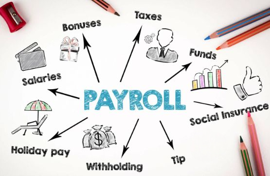 Payroll Services